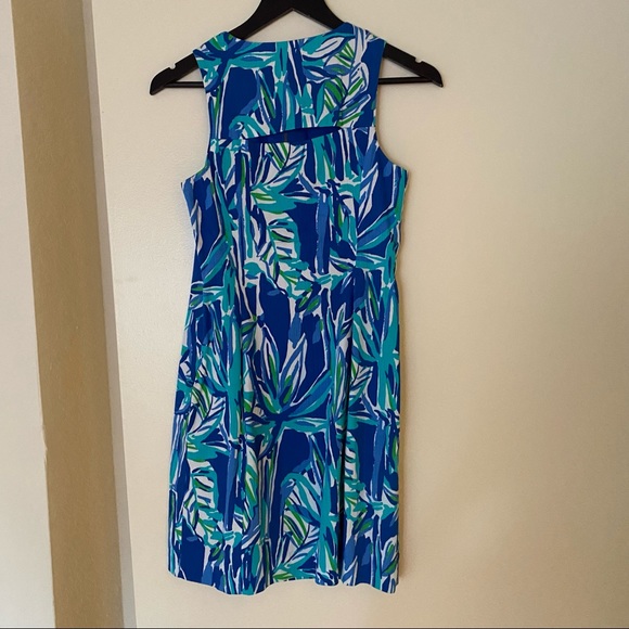 Lilly Pulitzer Penelope shift - Picture 4 of 5